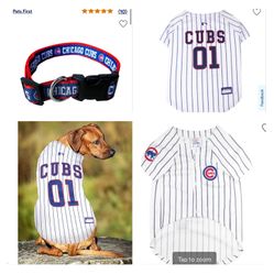 Chicago Cubs Dogs Jersey And Collar 
