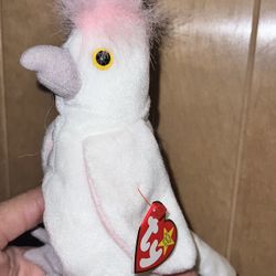 Ty Beanie Babies. Bin Kept $1ea