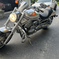 2002 Harley Davidson V-Rod V-Rod