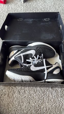 kobe 6 protro
