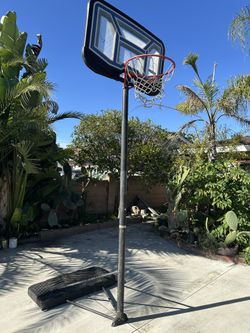 Basketball Hoop