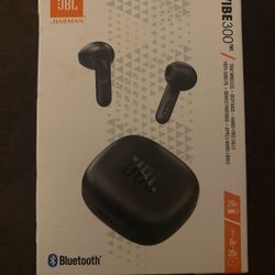 JBL VIBE300