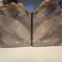 Set of 2 Beautiful Matching Petrified Wood Bookends Home decor
