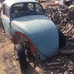 65 Bug Project