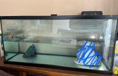 Fish Tank