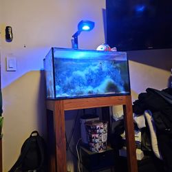 20 Gallon Salt Aquarium Tank 2 In 1