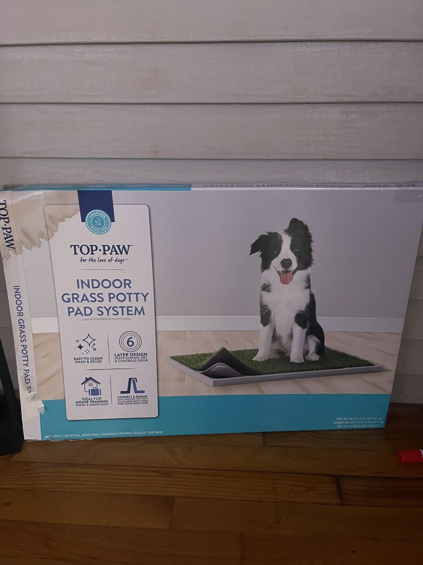 Puppy training Grass In Doors