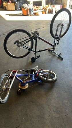 2 Bikes $25 Total