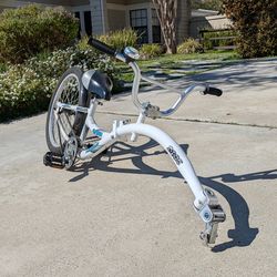 WeeRide Kazoo Tag-Along Trailer Bike