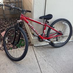 Specialized mountain bike, stinging jumper