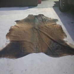 extra large  extra large moo moo hide.