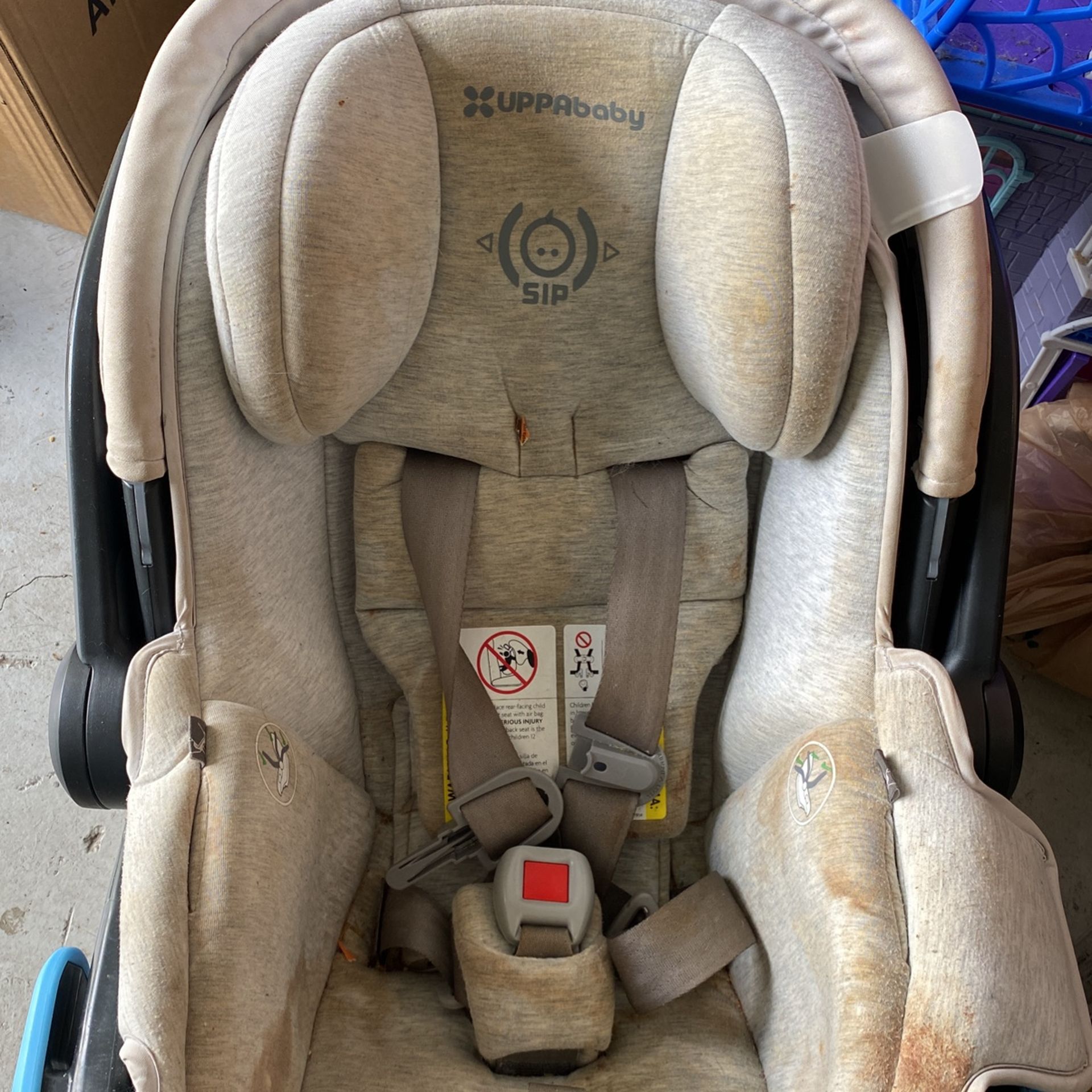 UPPAbaby Car Seat (Infant)