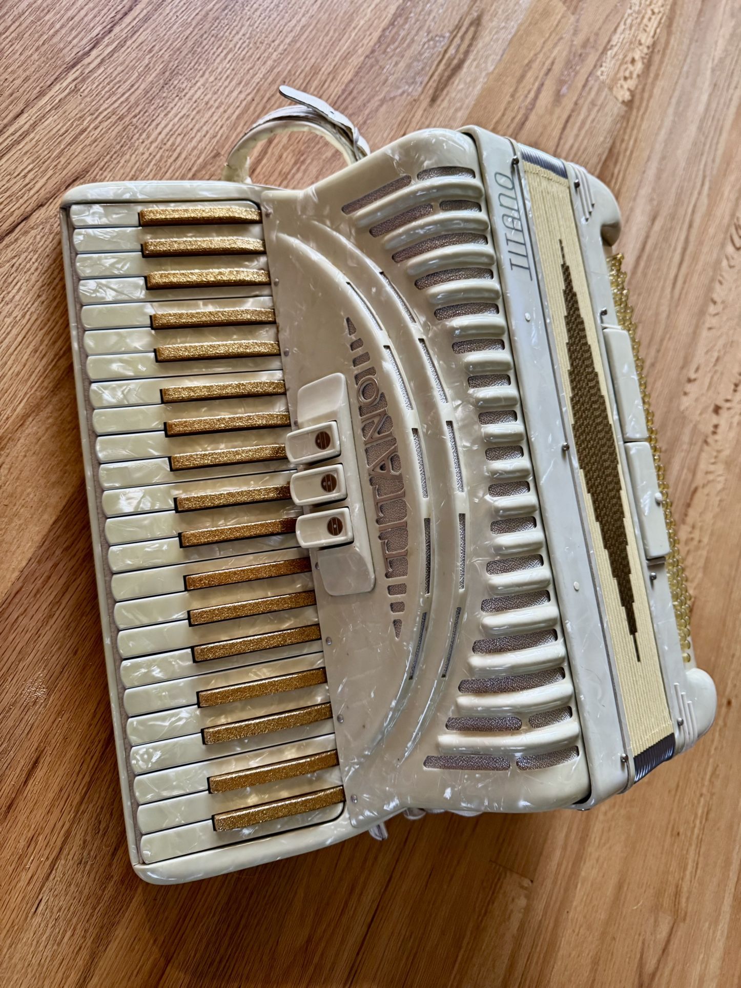 Vintage Titano Accordion With Case