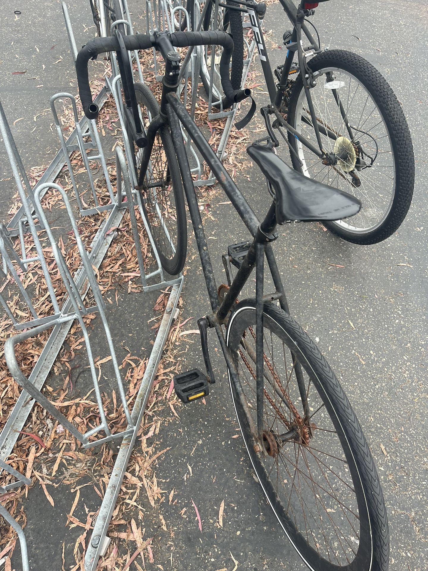 Fixie Bike