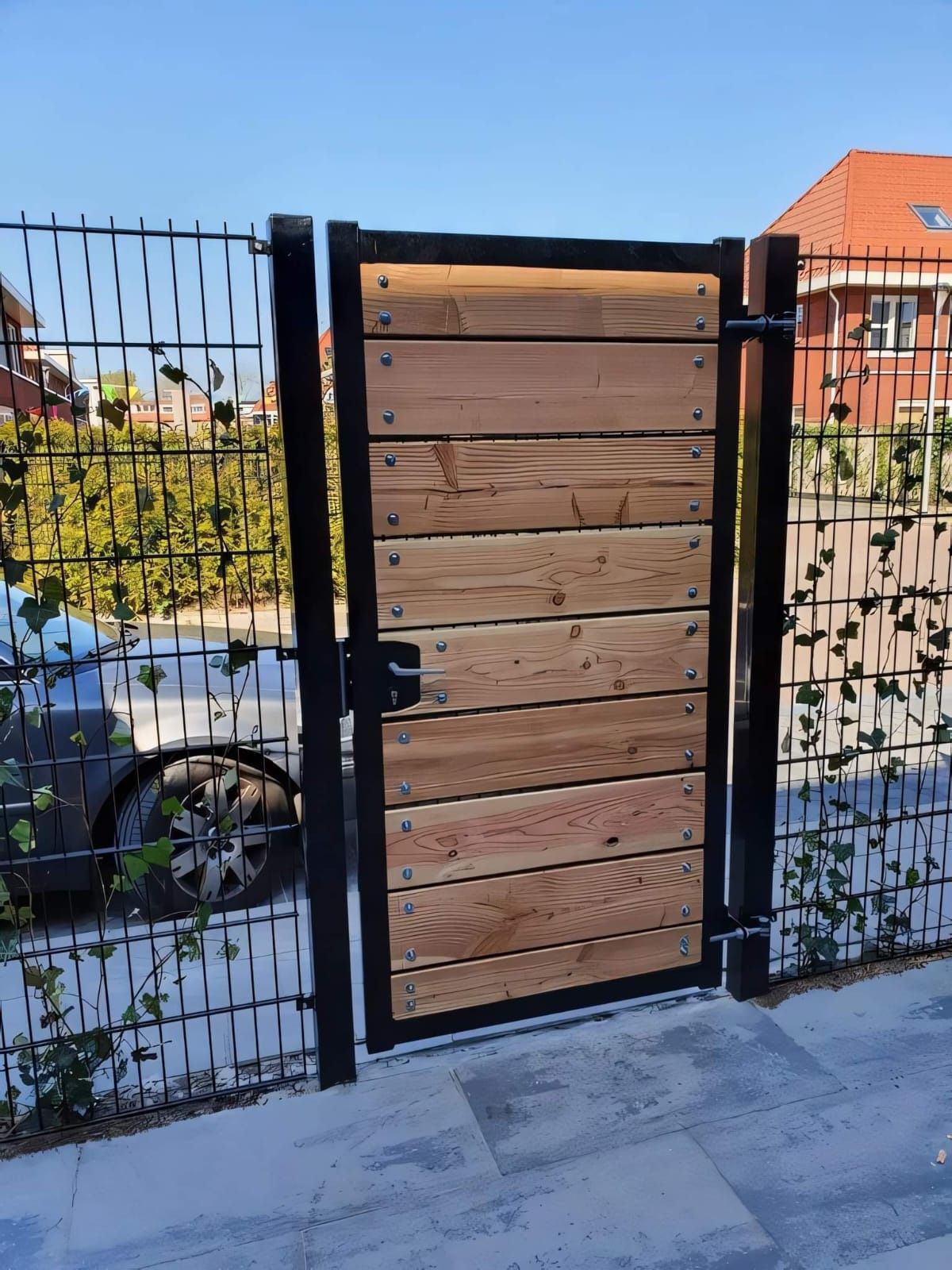 Door Gate