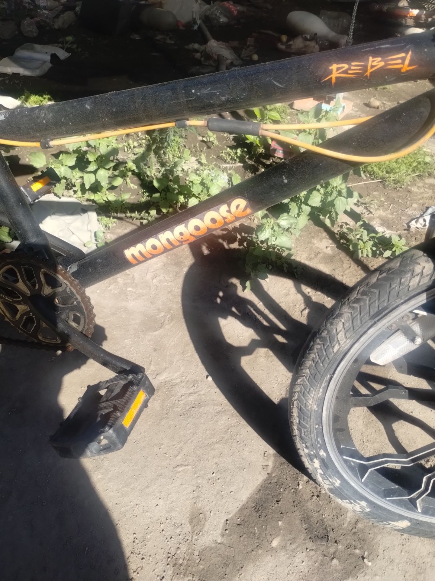 Mongoose bike