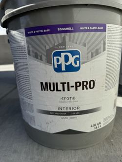 Pintura Nueva