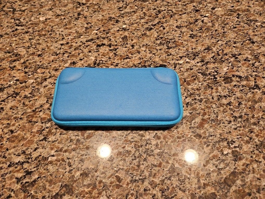 Video Game Carrying Case