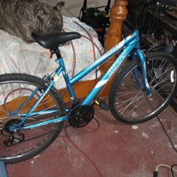 26" Female Bike