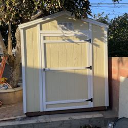 Shed 8x10x8 