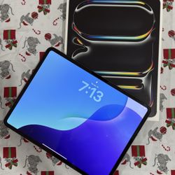 iPad Pro 13 Inch (256 Gb) ( Como Nueva )