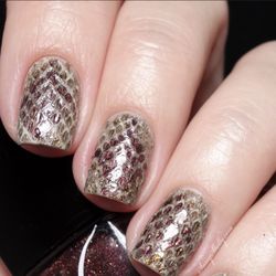 LIVE SNAKE SHED SKINS for Designer Nail Fashion Trending New York Fingernail Technician