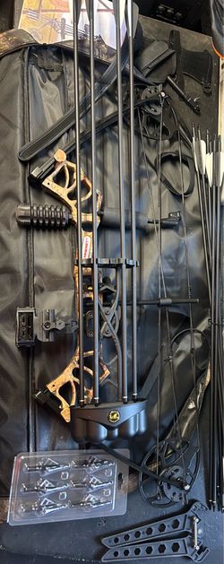 Compound Bow Setup Archery