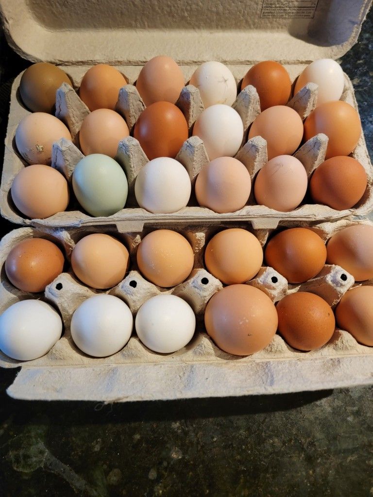 Farm Fresh Eggs