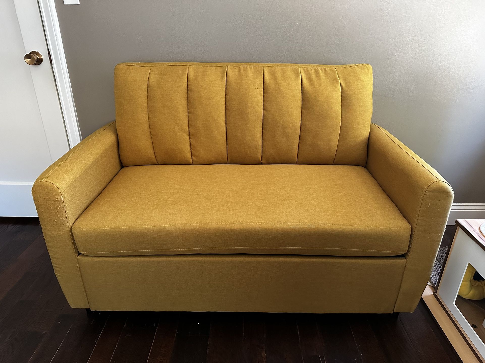 Lightly Used Sleeper Loveseat Sofa