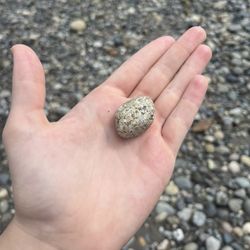 Rock