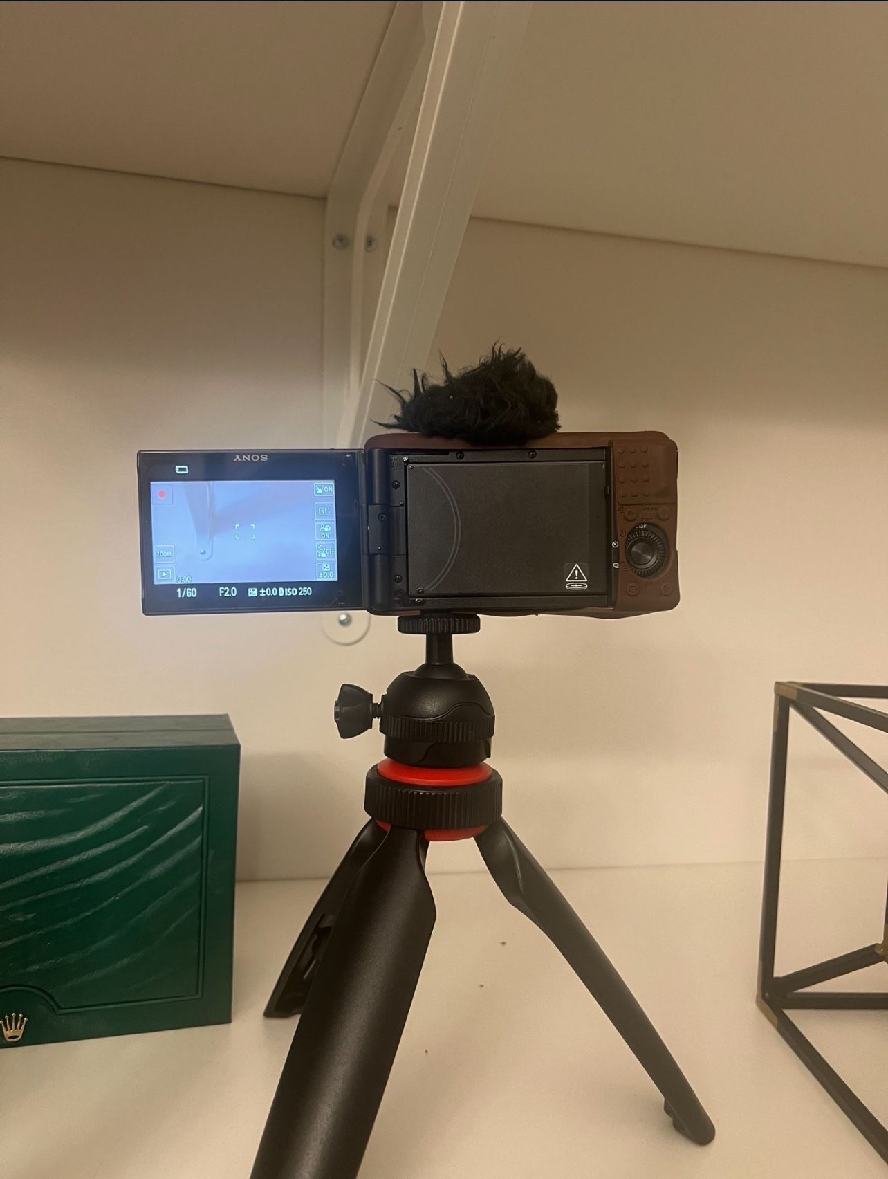 Sony Zf1