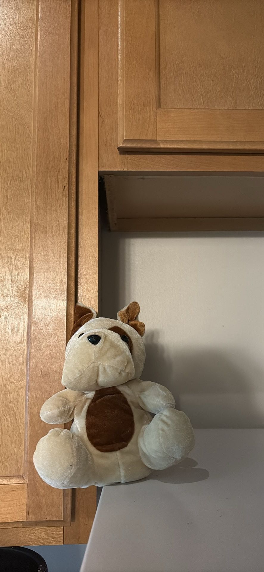 Stuffed animal 