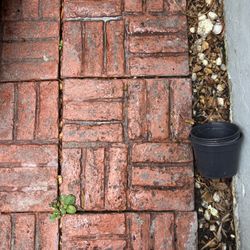 18x18 Stepping Stone / Pavers $2 Each 