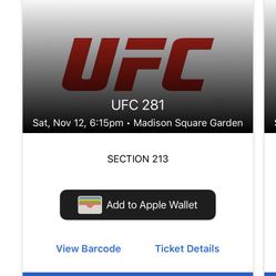 UFC 281 Single Ticket. Face Value. Section 213