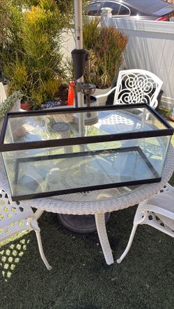 20 gallon fish tank terrarium aquarium
