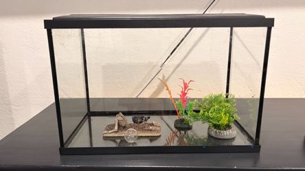 Fish tank set up