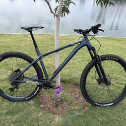 NS Bikes Eccentric Alu 29 MTB