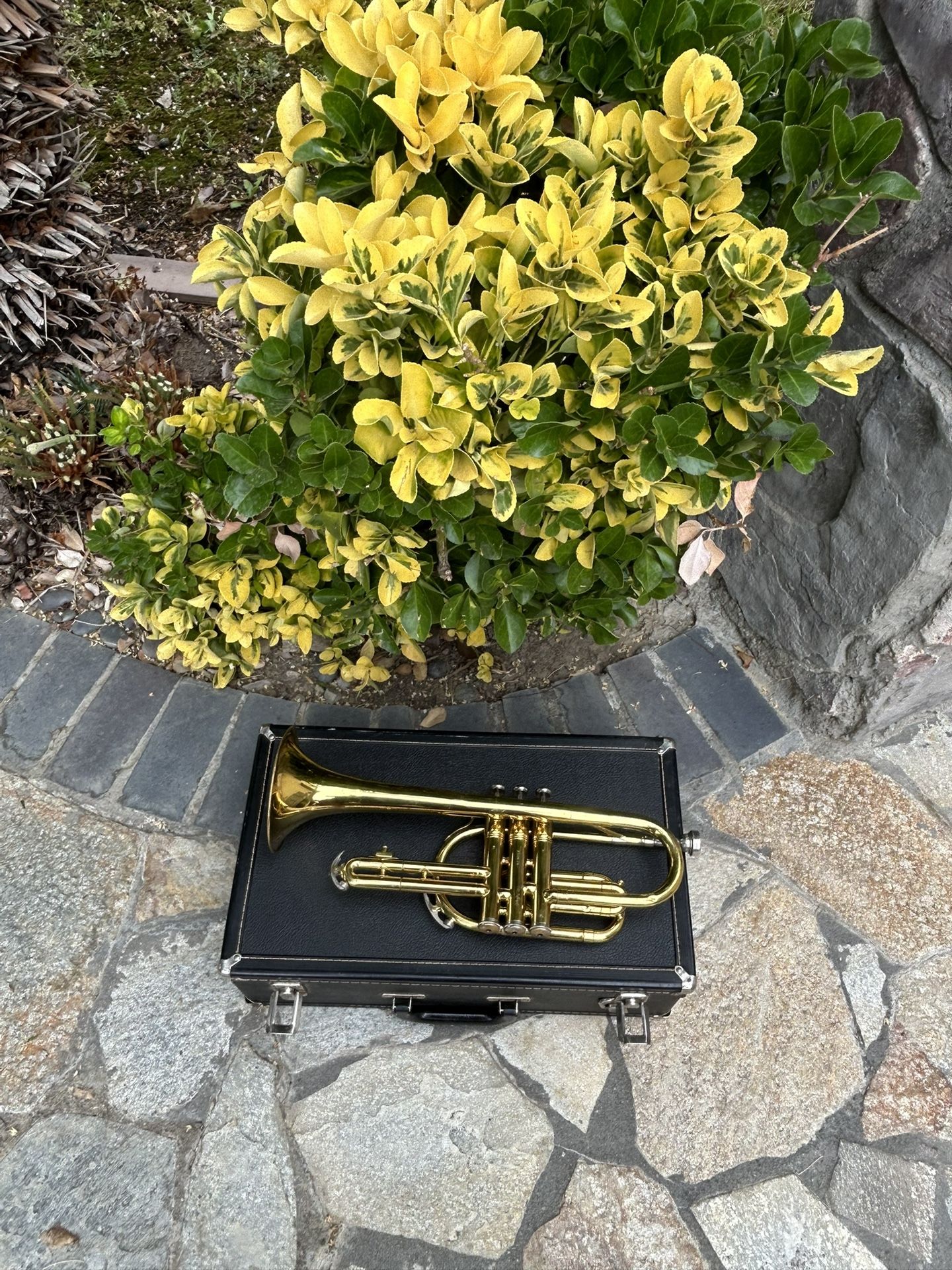 Beautiful π» King 602 Brass Cornet | Reverb