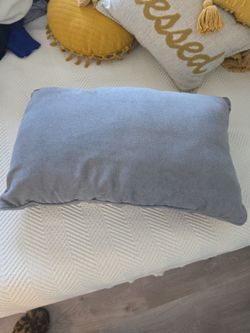 Gray Throw Pillow 24" x 16"