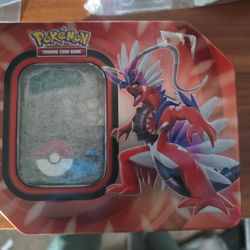 Pokemon Box Card And Toy Bundle