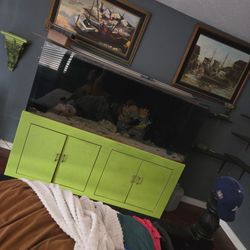 Saltwater 240gallon  FISH TANK AQUARIUM 