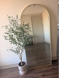 Gold arched mirror