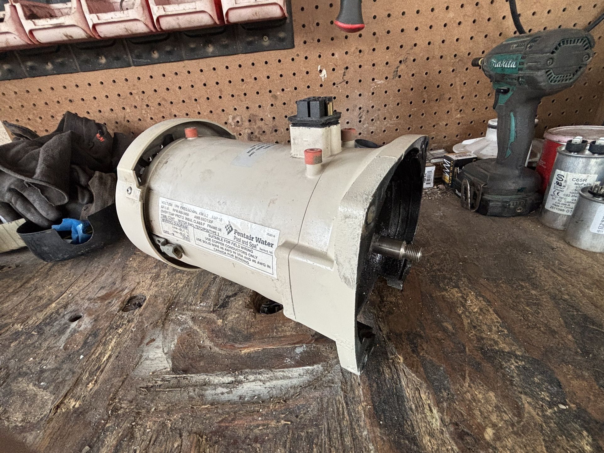Pool Motor