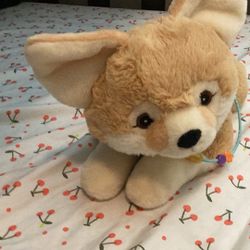 Cute Fennec Fox 