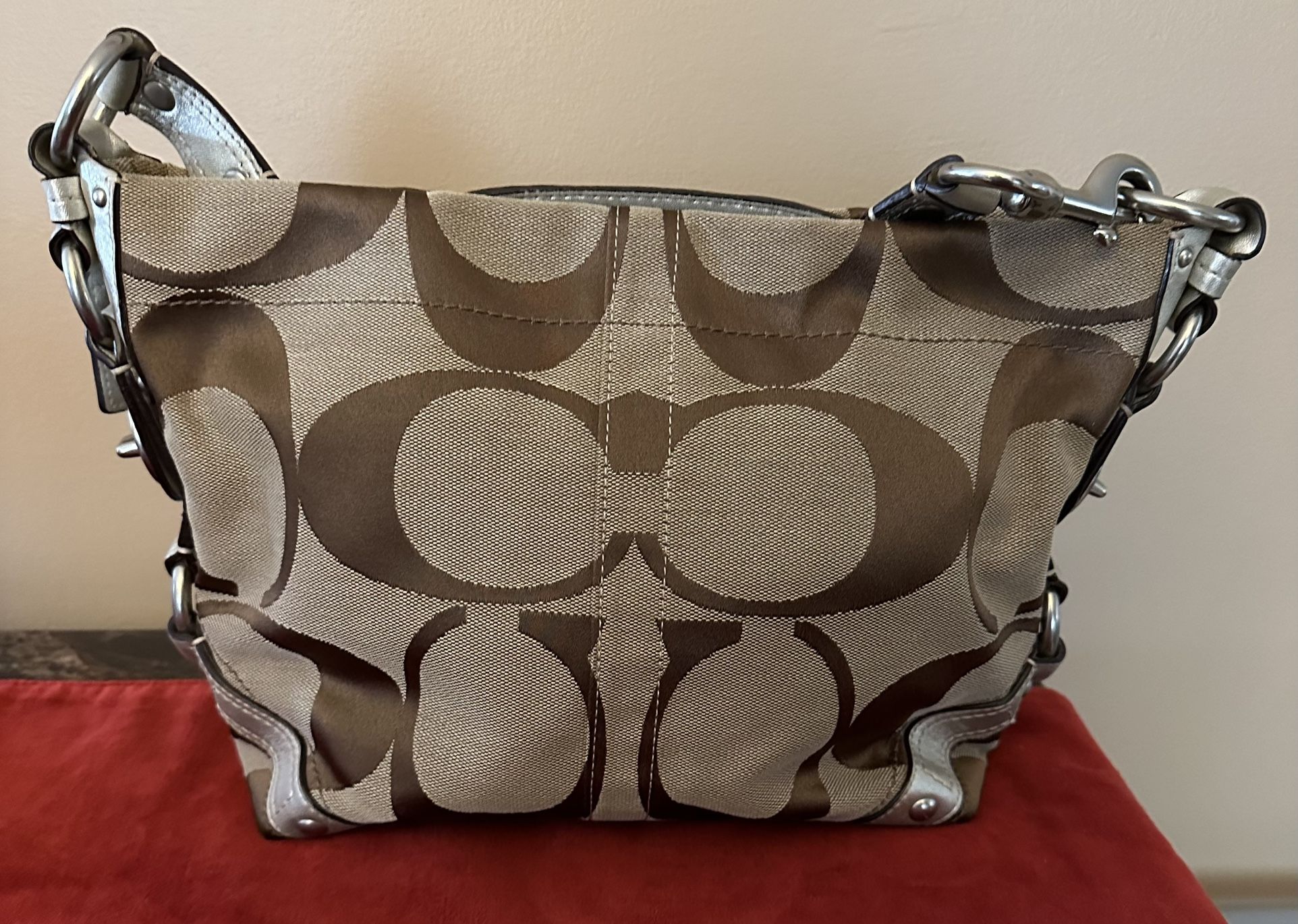 Coach Carly Hobo Purse