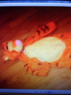 Disney tiger costume