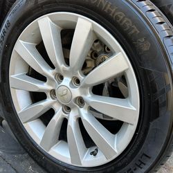 4- LION HART RADIAL SPORTS