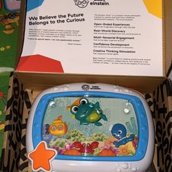 Baby Einstein Light Up Toy