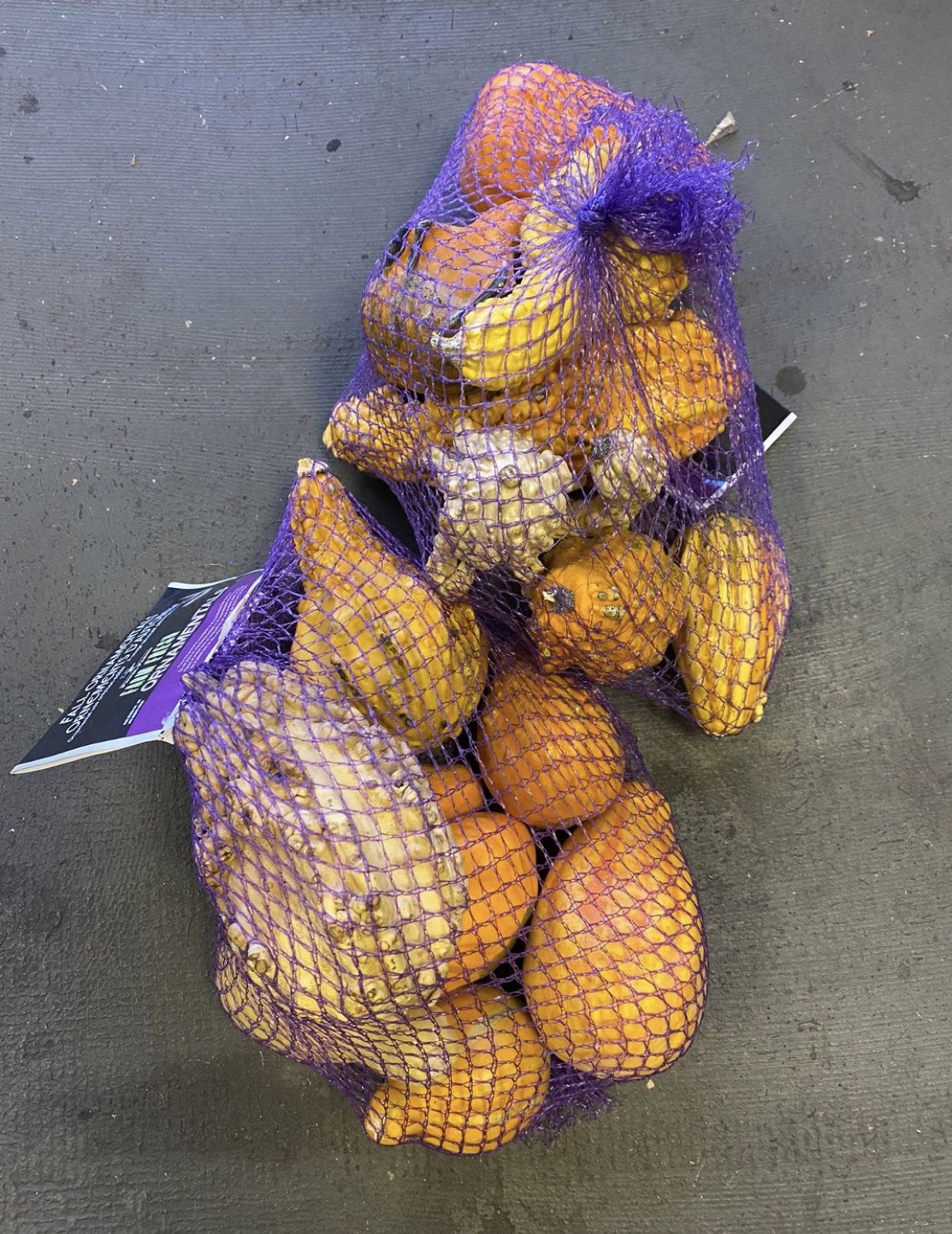 Decorative gourds 8 count minimum per bag