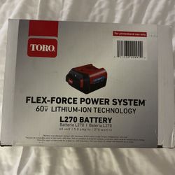 FLEX-FORCE POWER SYSTEM® 60v LITHIUM-ION L270 BATTERY 